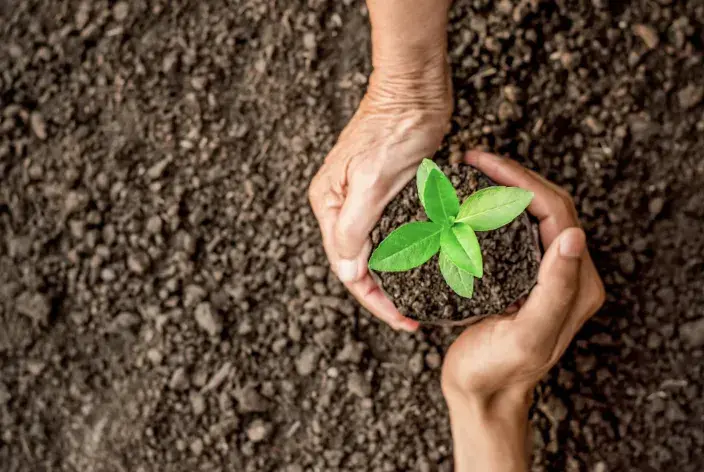 Especialización en Jurisdicción Agraria y Derecho de Tierras