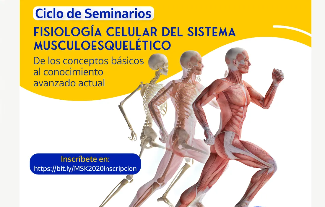 Musculoesquelética Musculoesquelética