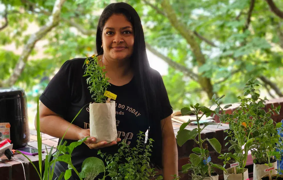 Mercado agroecológico