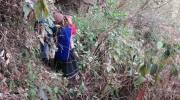 prácticas de estudiantes de la Javeriana Cali en Silvia, Cauca prácticas de estudiantes de la Javeriana Cali en Silvia, Cauca