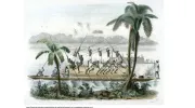 Arquitecturas cimarronas, el legado afrodescendiente que pocos conocían Arquitecturas cimarronas, el legado afrodescendiente que pocos conocían
