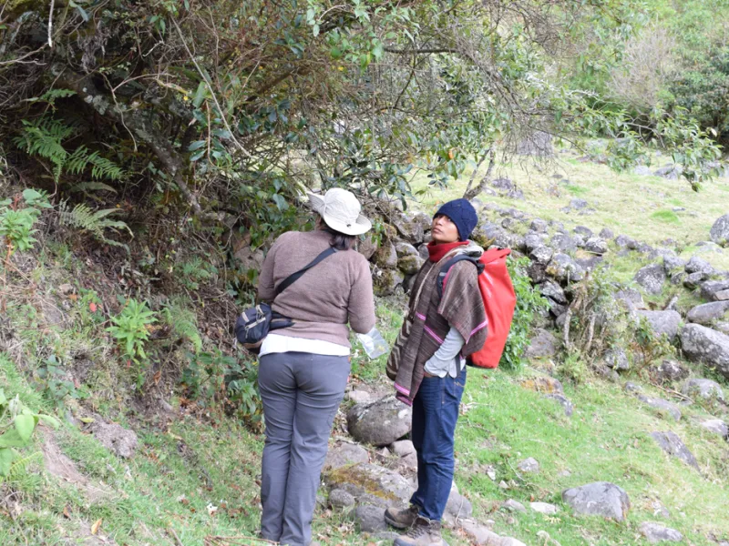 prácticas de estudiantes de la Javeriana Cali en Silvia, Cauca prácticas de estudiantes de la Javeriana Cali en Silvia, Cauca