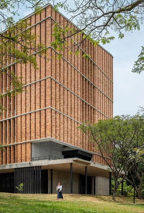 Edificio Cedro Rosado